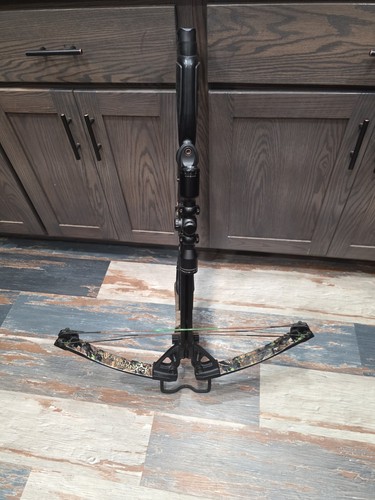 Horton bone collector crossbow - collector,