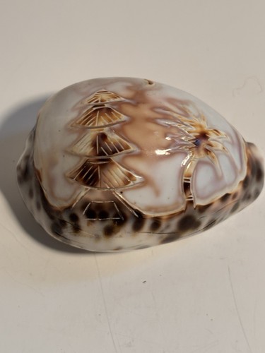 Carved cowrie tiger shell - tiger,