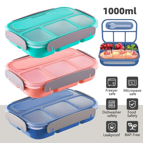 Bento box adult - adult, lunch