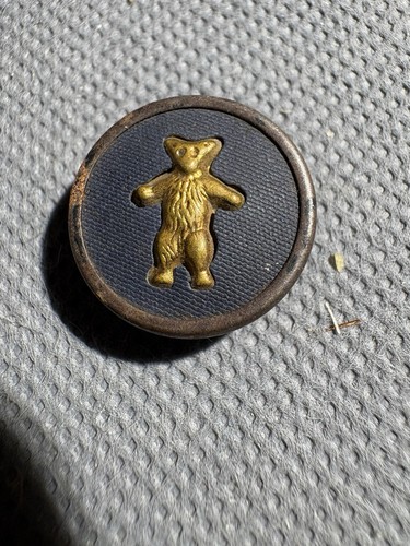 Teddy roosevelt button - teddy,