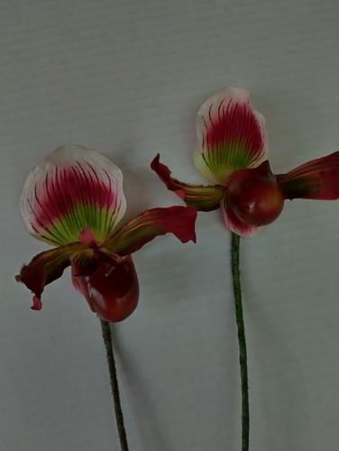 Artificial paphiopedilum lady - artificial,