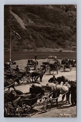 Horse carts norwegian fjord - horse,
