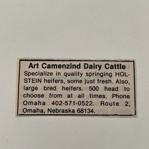 Art camenzind dairy cattle - dairy,
