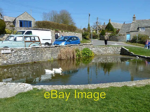 Photo 6x4 duck - photo, pond,