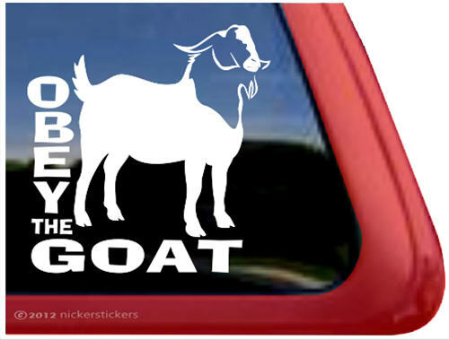 Obey the goat - obey,