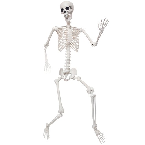 Shocosto 9ft giant - 5.9ft, skeleton