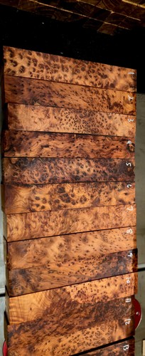 Thuya burl turning - burl,