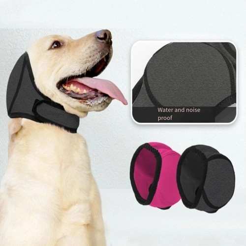 Dog ear muffs - ear,