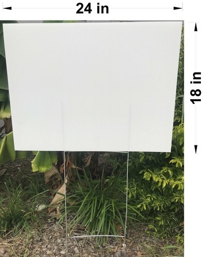 Pack white blank - pack,