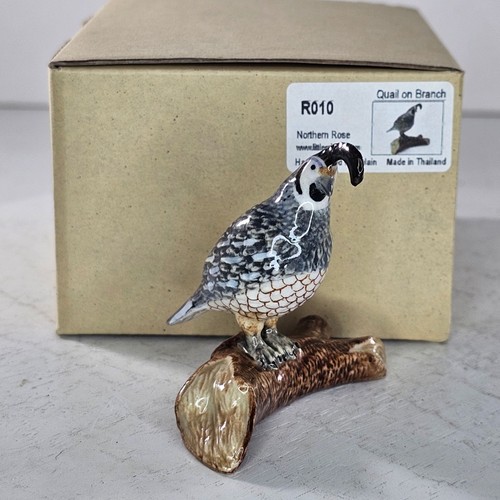 Northern rose porcelain quail - northern,