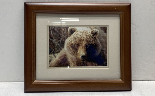 Jim stamates wildlife - jim,