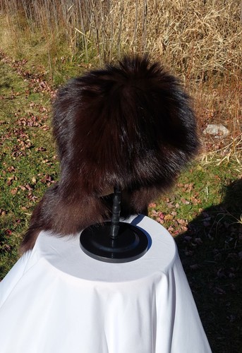 Real black fox - black, white
