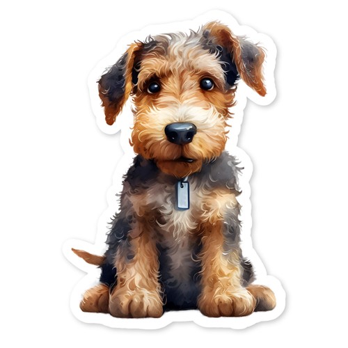 Airedale terrier puppy - terrier,