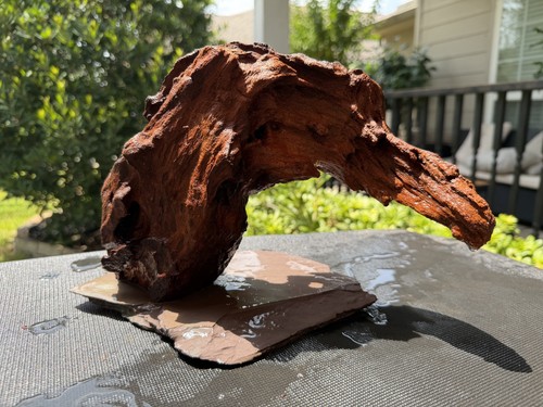 Driftwood malaysian aquariums - driftwood,