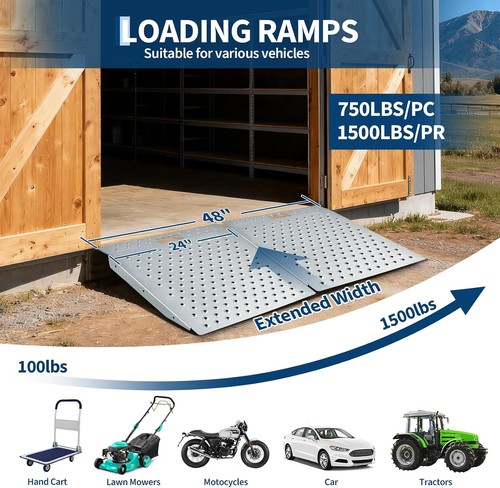 Shed heavy duty ramp - shed,