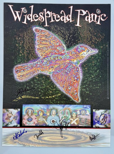 Widespread panic poster - widespread,