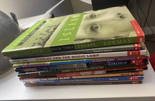 Mixed paperback books - mixed, lot