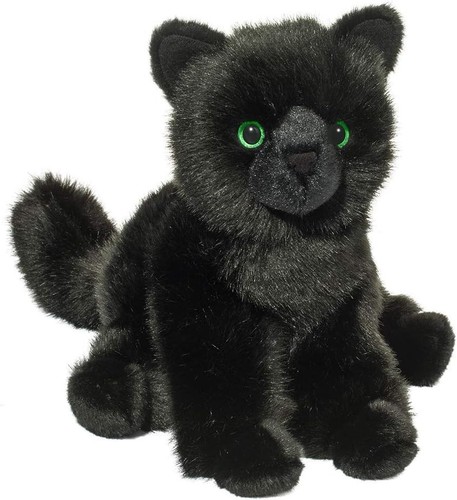 Salem black cat - salem,
