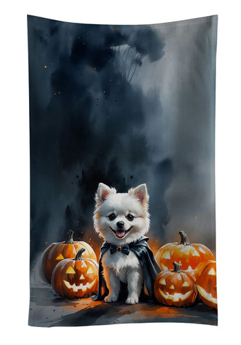 White pomeranian puppy - pomeranian,