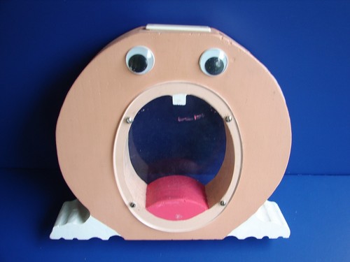 Googly eyes wooden - 1, tooth