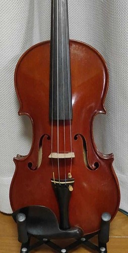 Violin suzuki special - violin,