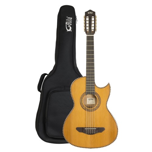 String electric acoustic - 10,