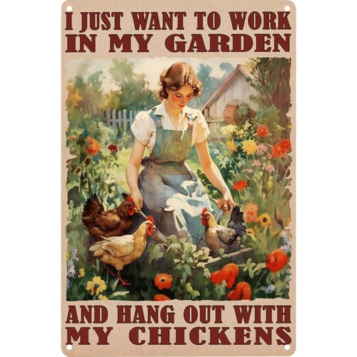 Funny chicken signs - signs, just