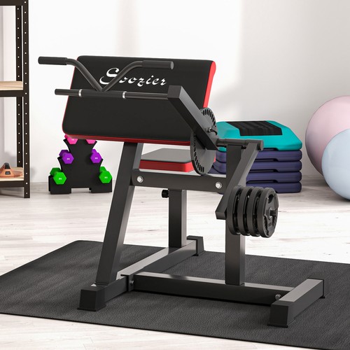 Bicep preacher curl bench - bicep,
