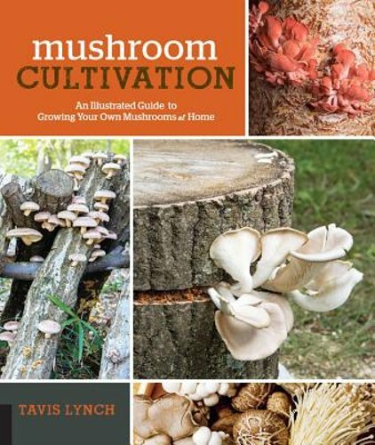 Mushroom cultivation an - mushroom,