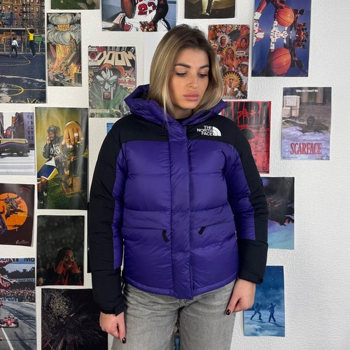 The north face - the,
