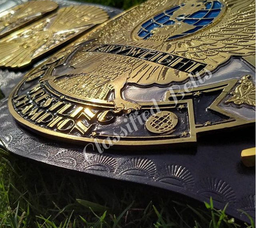 Dual winged eagle wrestling - winged,
