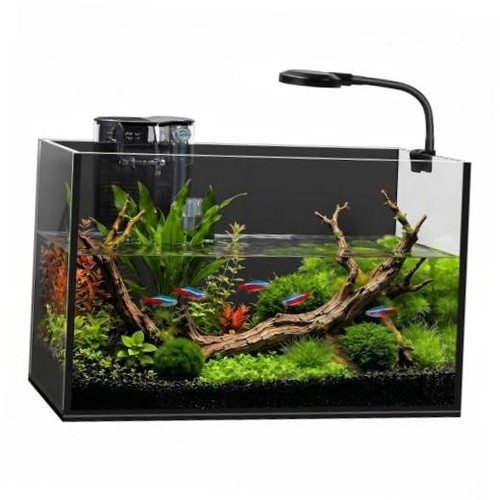 Gallon small fish tank - 2,