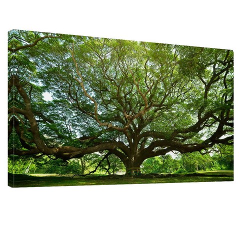 Green big tree canvas - green, art