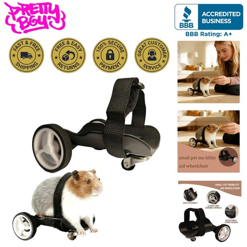 Adjustable guinea pig - guinea,