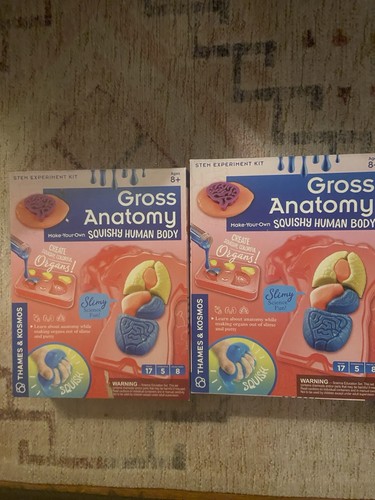 Gross anatomy diy - gross, squishy