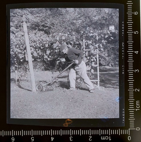 Vintage photo negative - photo,