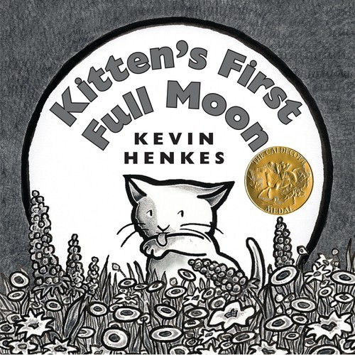 Kitten first full moon - full,
