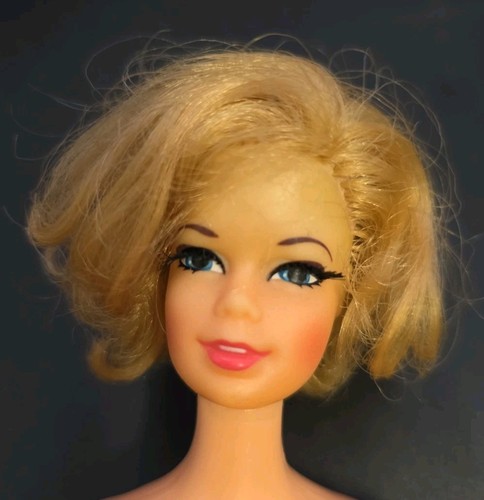 1970 stacey tnt - stacey,
