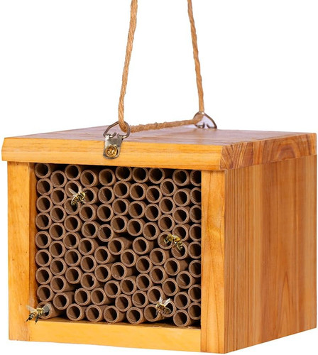 Mason bee house outdoor - house,
