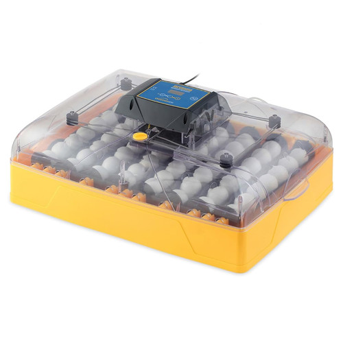 Ovation egg incubator - ex,