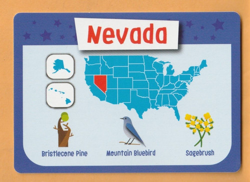 Nevada state flash - state,