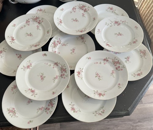 Salad plates victoria - salad,