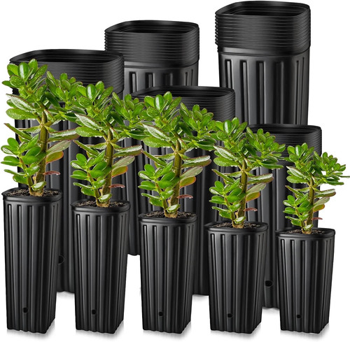 100 pcs tall tree - pcs,