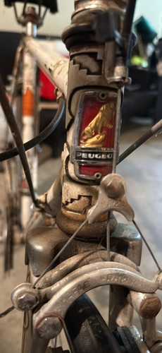 Peugeot racing bike 22in frame - racing,