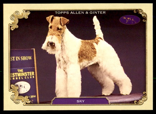 2024 topps allen - allen, ginter