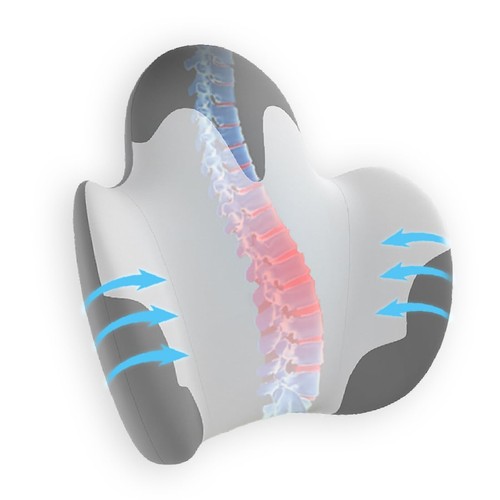 Lumbar pillow for - for, office