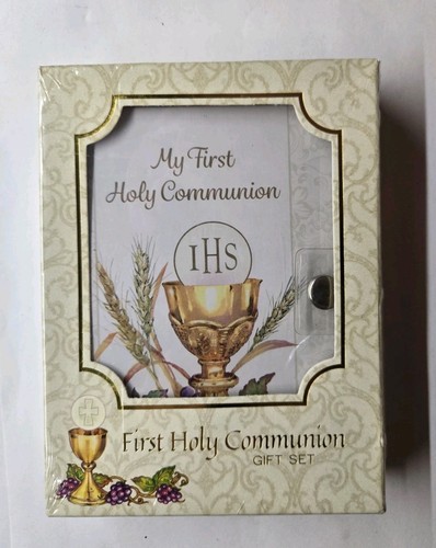 Girl first holy - first, communion