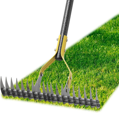 Thatch rake for lawns - rake, heavy