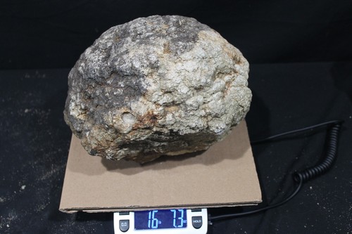 16lb 7oz inch warsaw - 10,