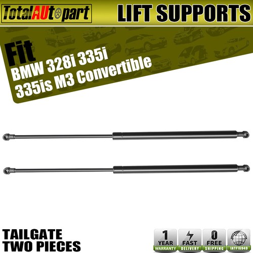 Trunk lift supports shock - 2x,